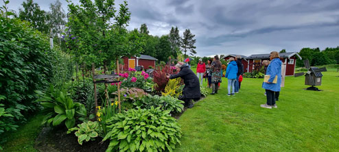 Hörnefors trädgårdssällskap